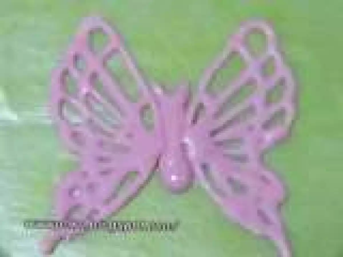 Fluturasi din ciocolata