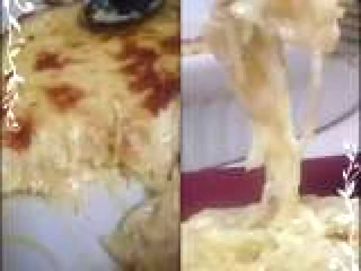 MACAROANE CU BRANZA/MAC AND CHEESE/MACCHERONI AL FORMAGGIO