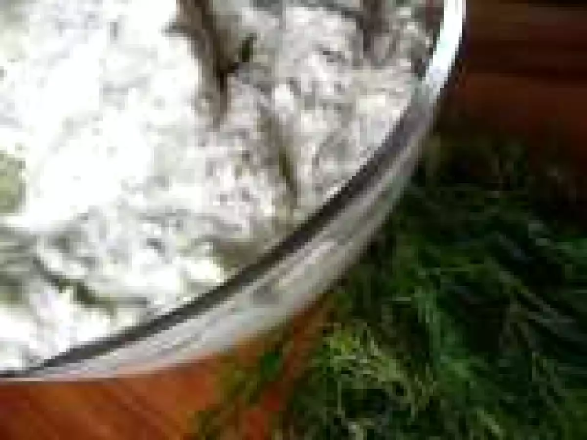 Crema de branza Almette cu marar