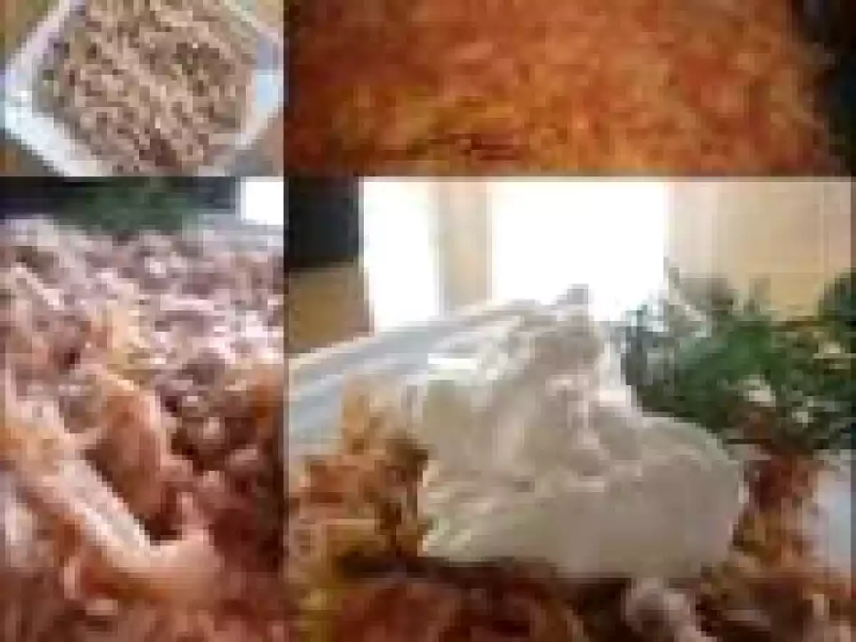 CARNE TOCATA CU VARZA MURATA IN VIN /MINCED MEAT WITH WINE SAUERKRAUT/CARNE MACINATA CON CRAUTI AL VINO