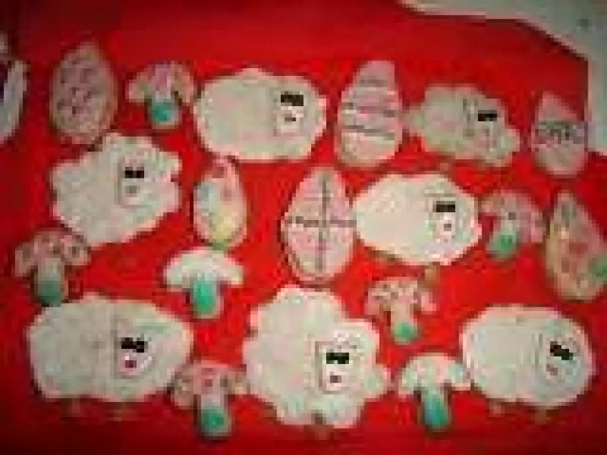 Oite printre ciupercute si oute