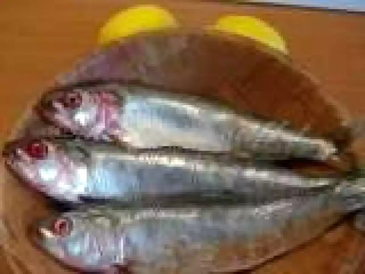 Scrumbie la cuptor ( Mackerel cooked in oven)