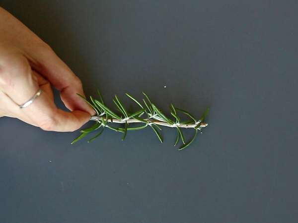 Cocktail - brad acoperit de zăpadă - Preparare etapa 1