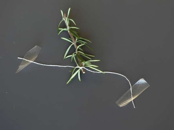 Cocktail - brad acoperit de zăpadă - Preparare etapa 3