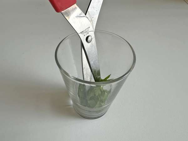 Crutoane crocante cu ierburi în Air Fryer (rapid și ușor) - Preparare etapa 3