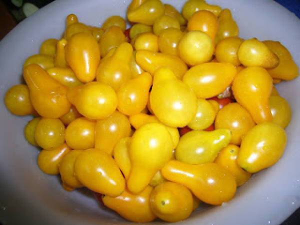 Salata de rosii pentru iarna - Preparare etapa 2