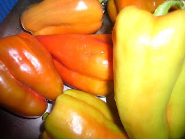 Salata de rosii pentru iarna - Preparare etapa 4