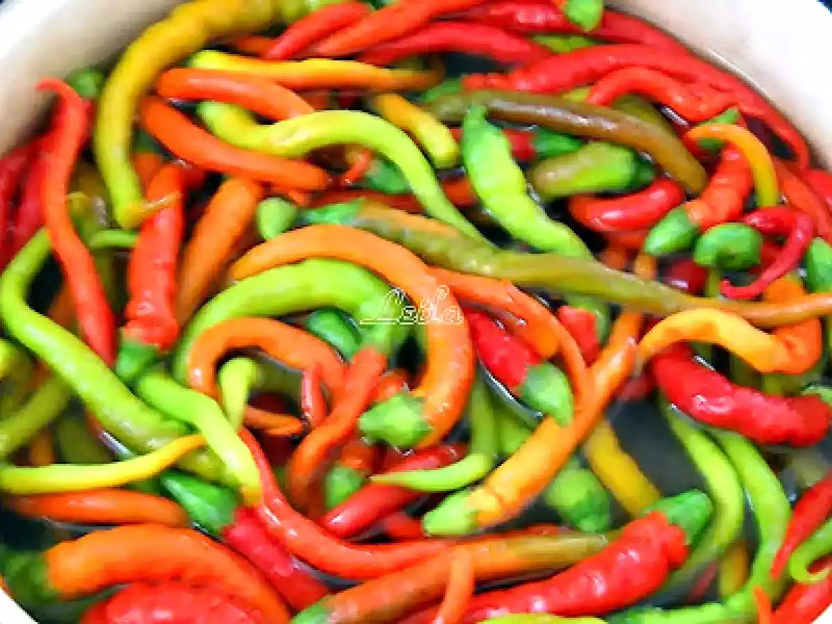 Ardei Bulgaresti la Borcan - poza 3