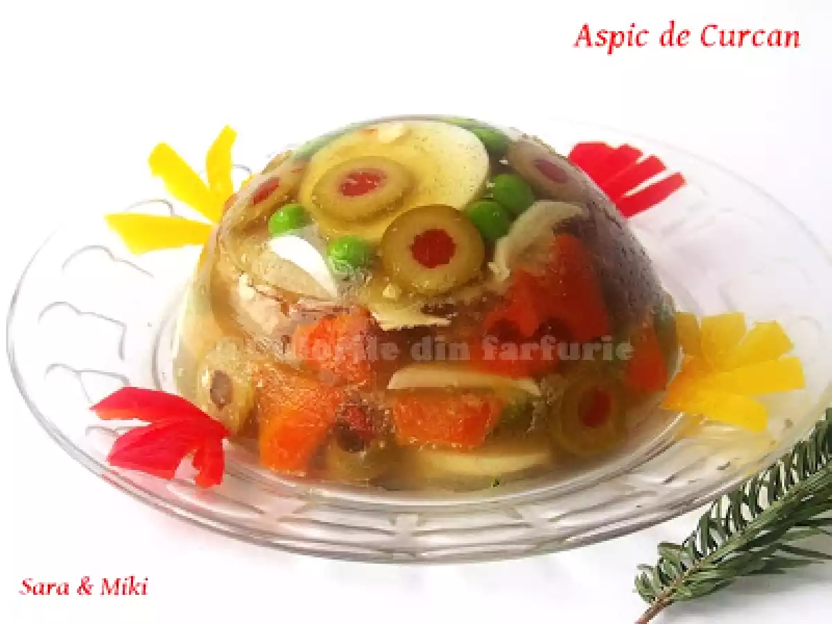 Aspic de Curcan - poza 2