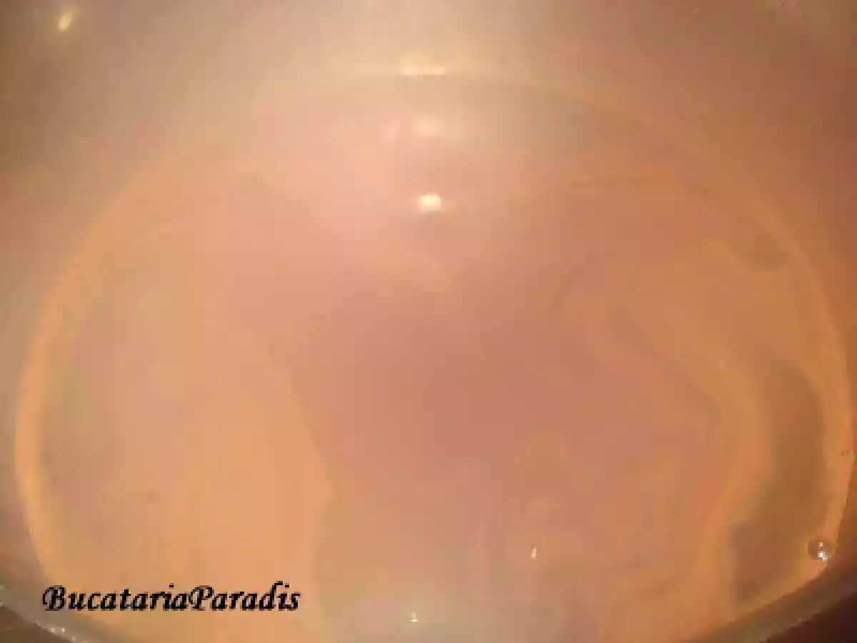 BILUTE DIN SALAM DE BISCUITI - poza 3