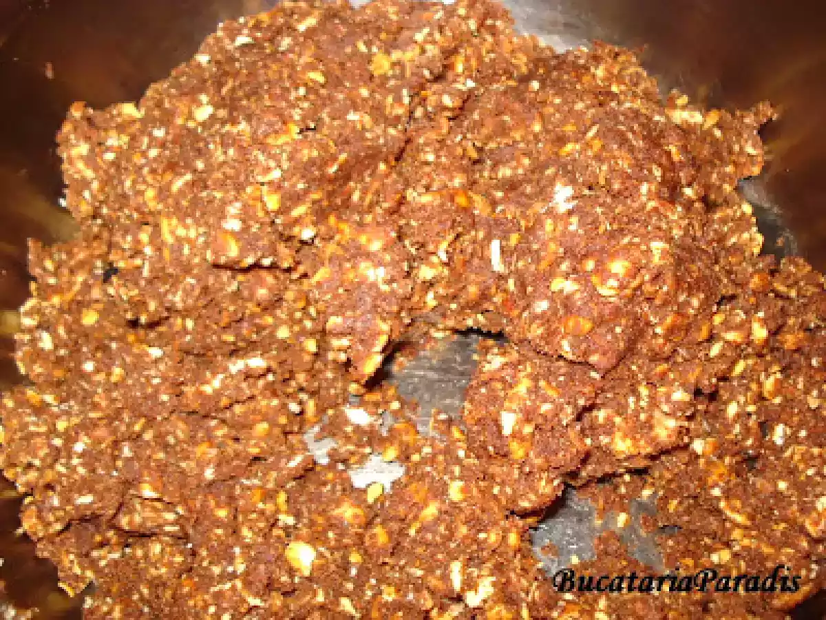 BILUTE DIN SALAM DE BISCUITI - poza 6