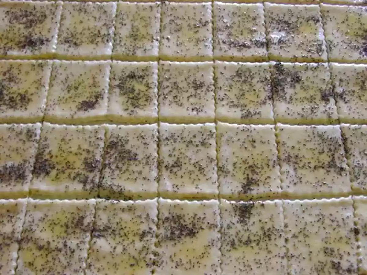 BISCUITI CU IAURT SI MAC - poza 4