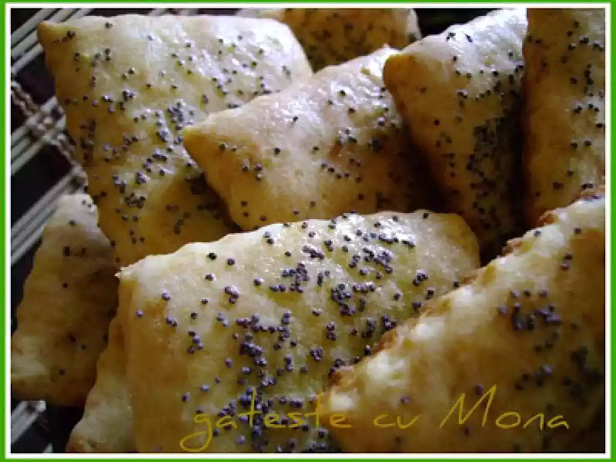 BISCUITI CU IAURT SI MAC - poza 7