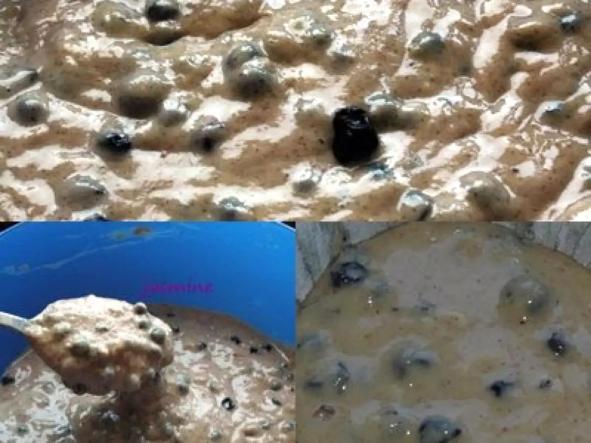 Blueberry Muffins - Briose cu afine - poza 3