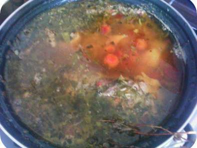 Bors cu carnita si visine - Soup with meat and sour, poza 2
