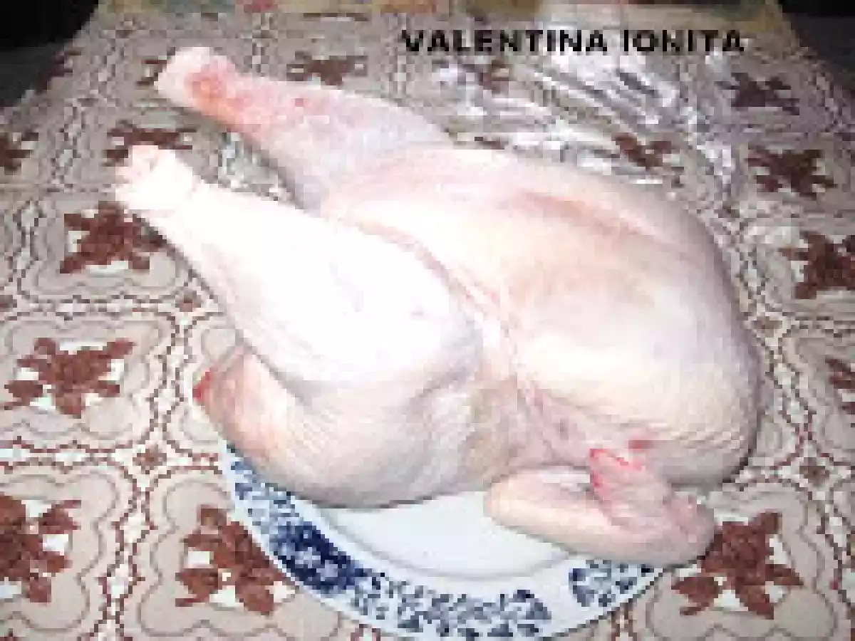 BORS DE GAINA CU LOBODA - poza 2