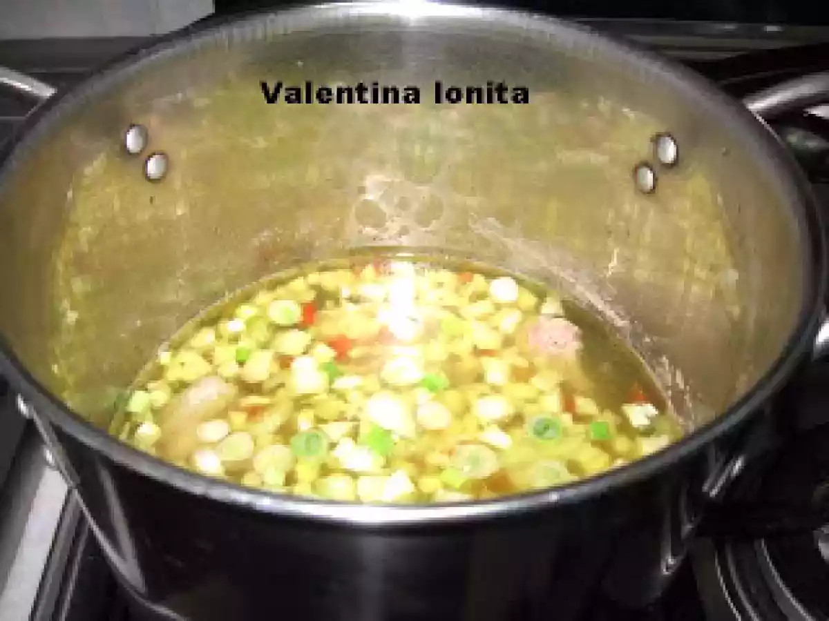 BORS DE GAINA CU LOBODA - poza 8