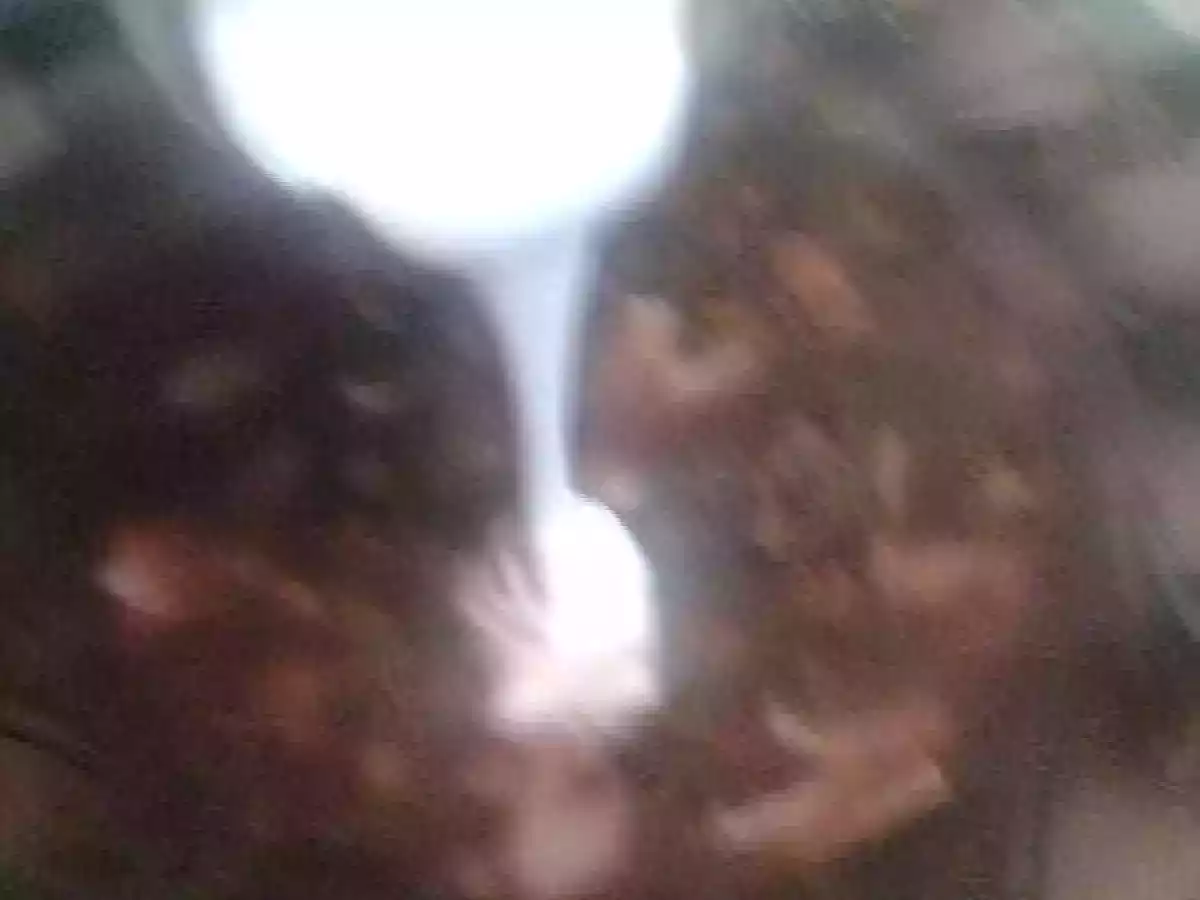 BORS DE PRIMAVARA - poza 3