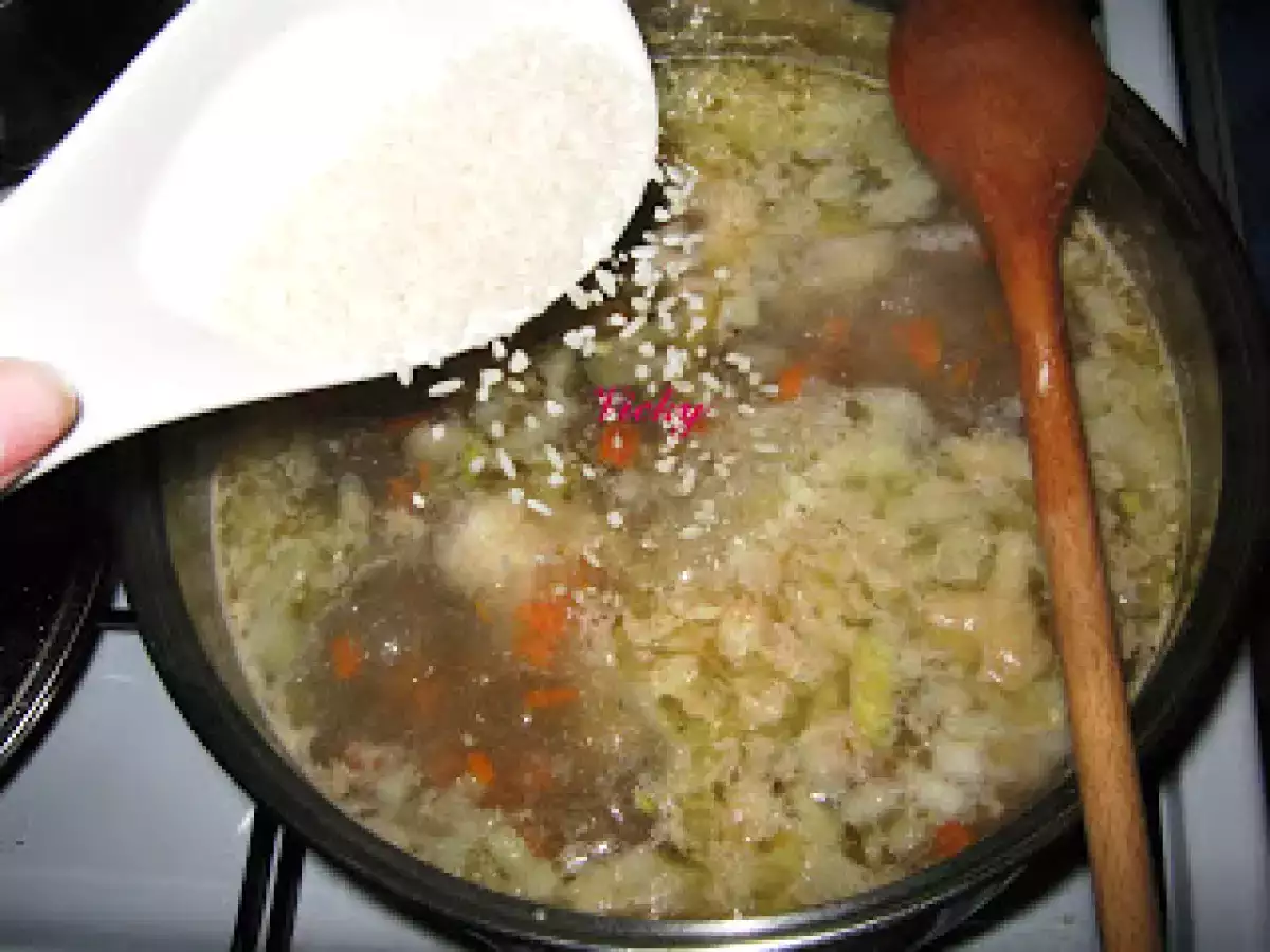 Bors de pui cu orez si dres cu smantana - poza 8