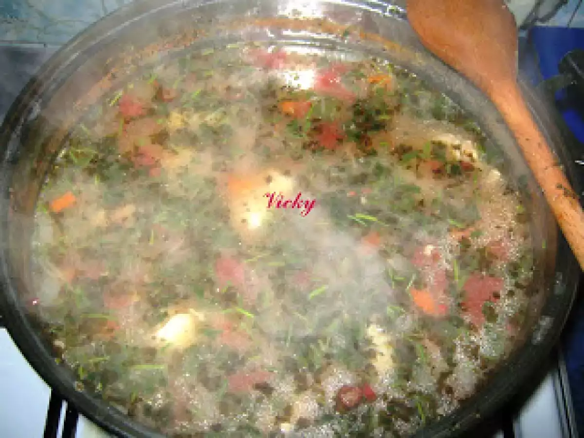 Bors de pui cu orez si dres cu smantana - poza 13