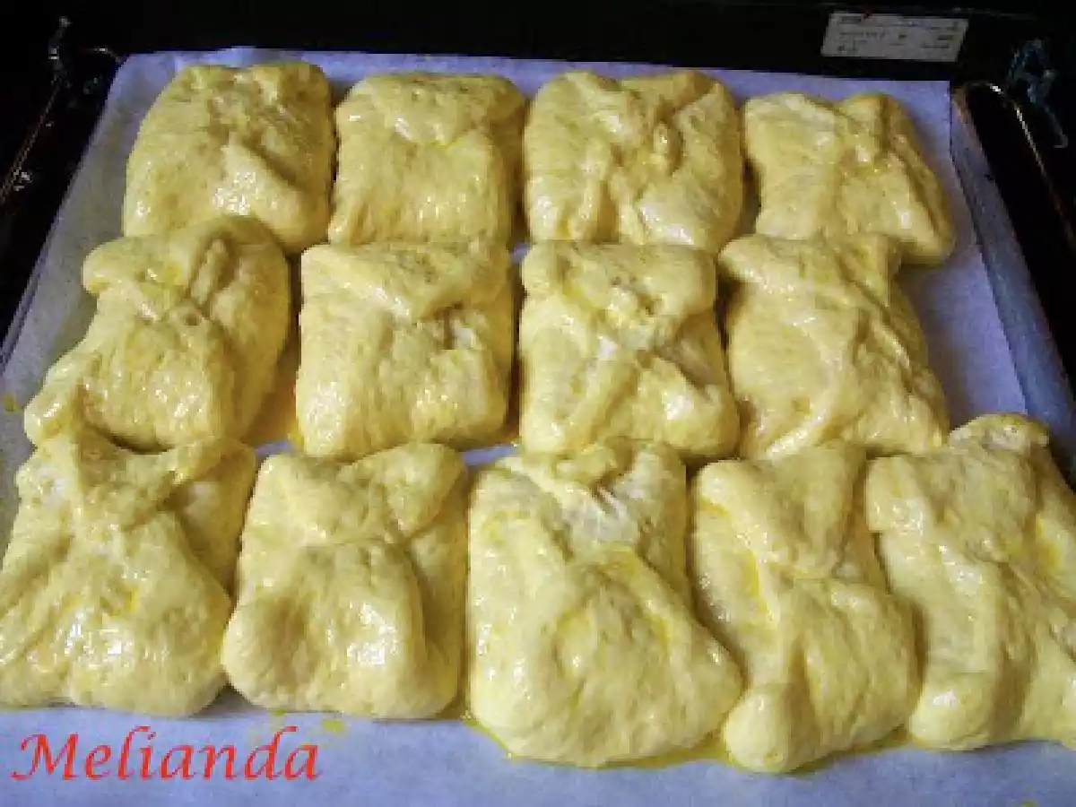 Branzoaice moldovenesti - poza 9