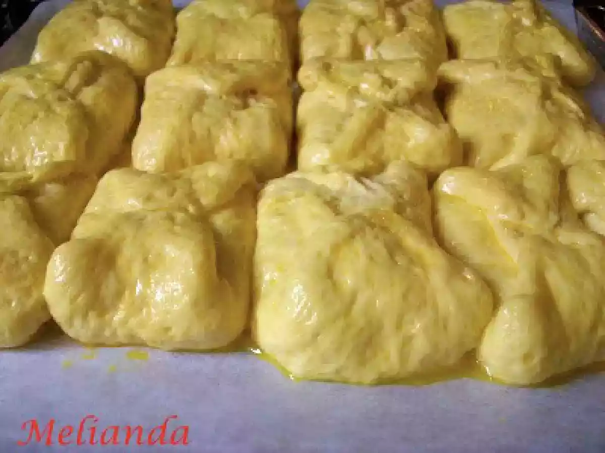 Branzoaice moldovenesti - poza 10