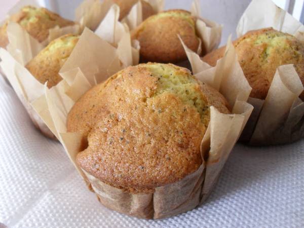 Briose cu seminte de mac (poppy seed muffins)