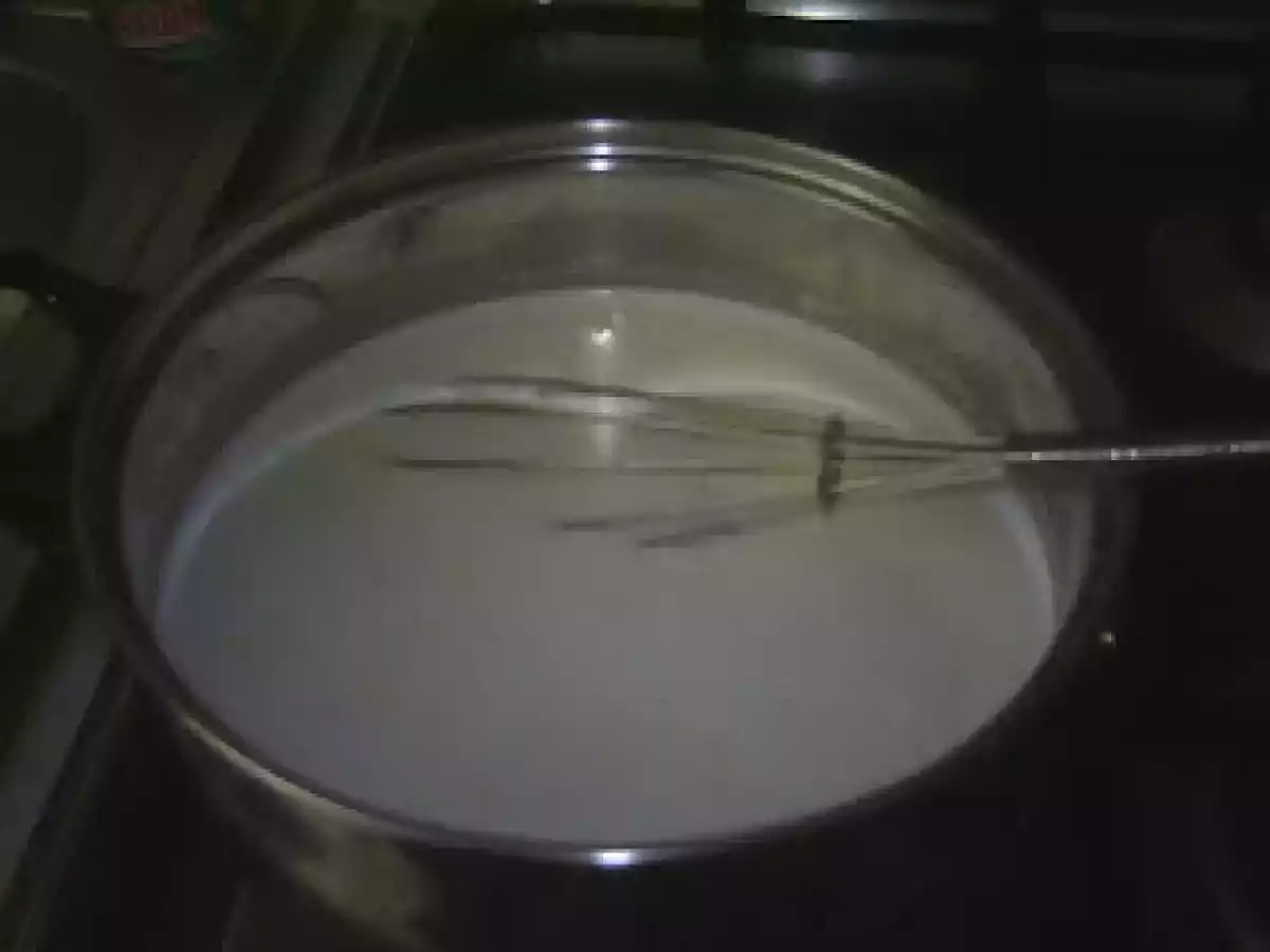 BUDINCA DE GRIS - poza 2