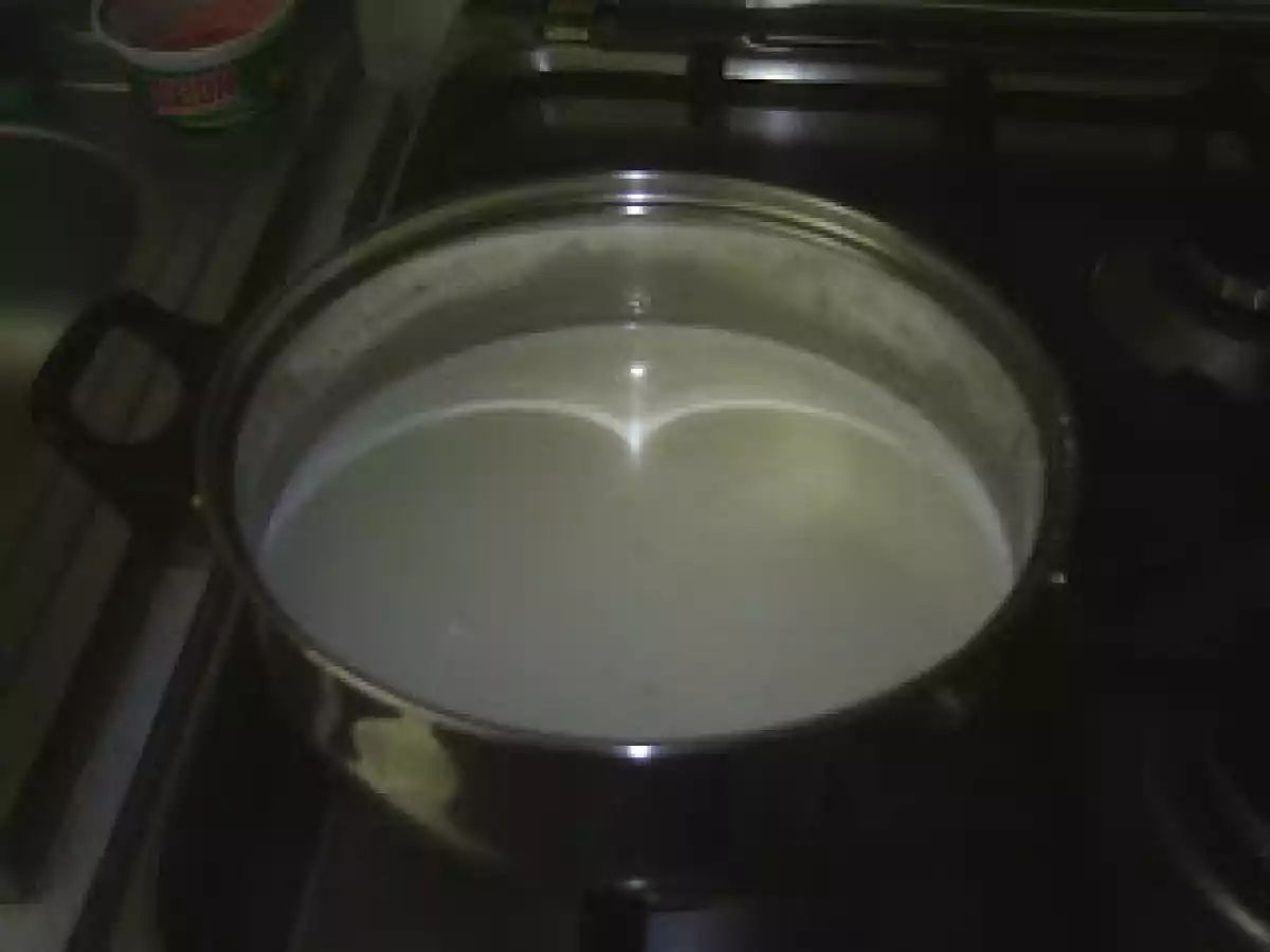 BUDINCA DE GRIS - poza 3