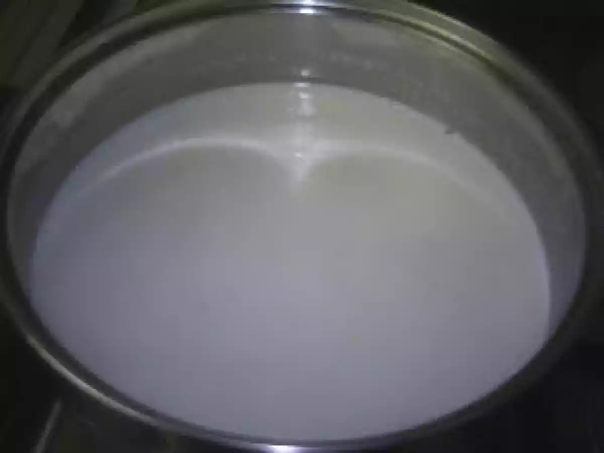 BUDINCA DE GRIS - poza 5