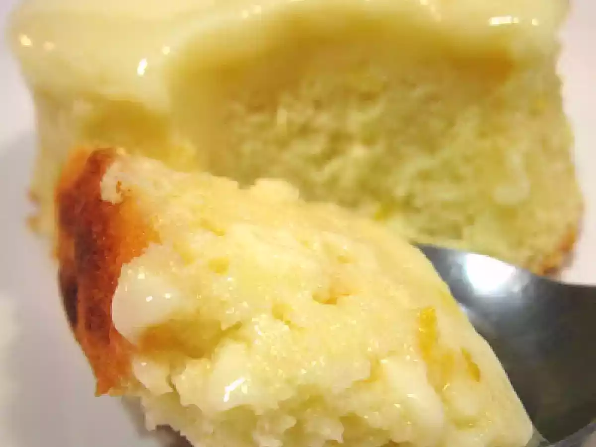 Budinca de lamaie - poza 2