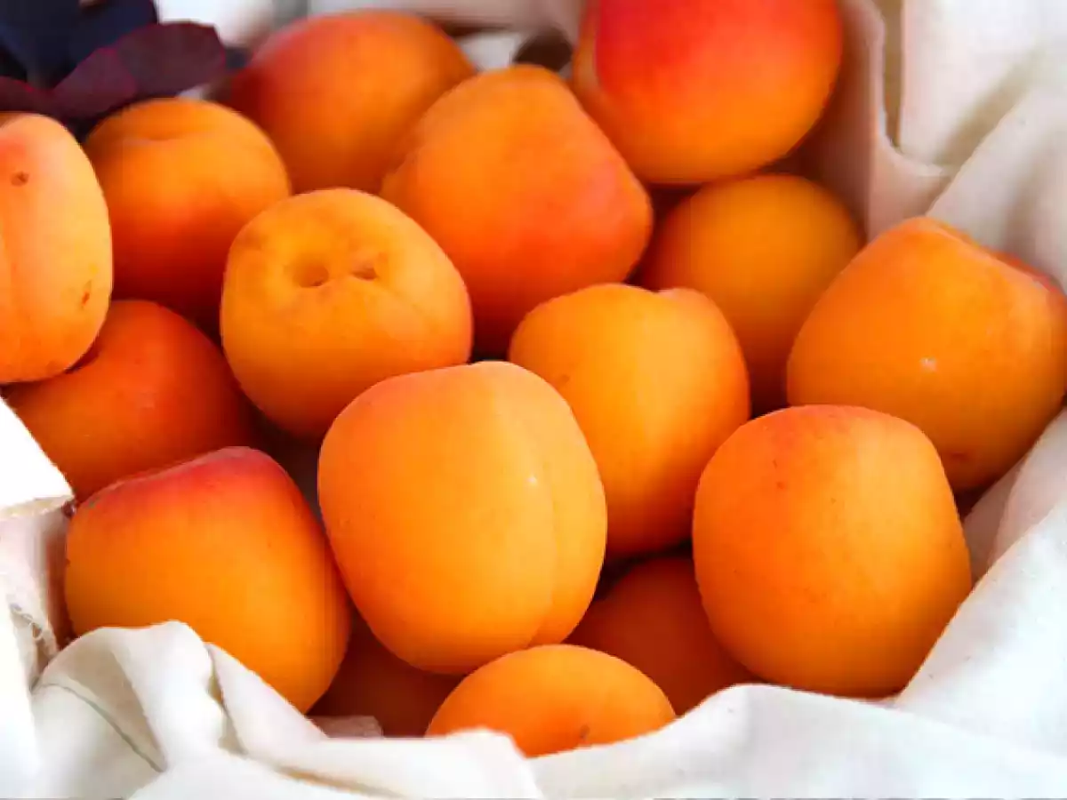 Caise umplute cu ton si rozmarin - poza 6