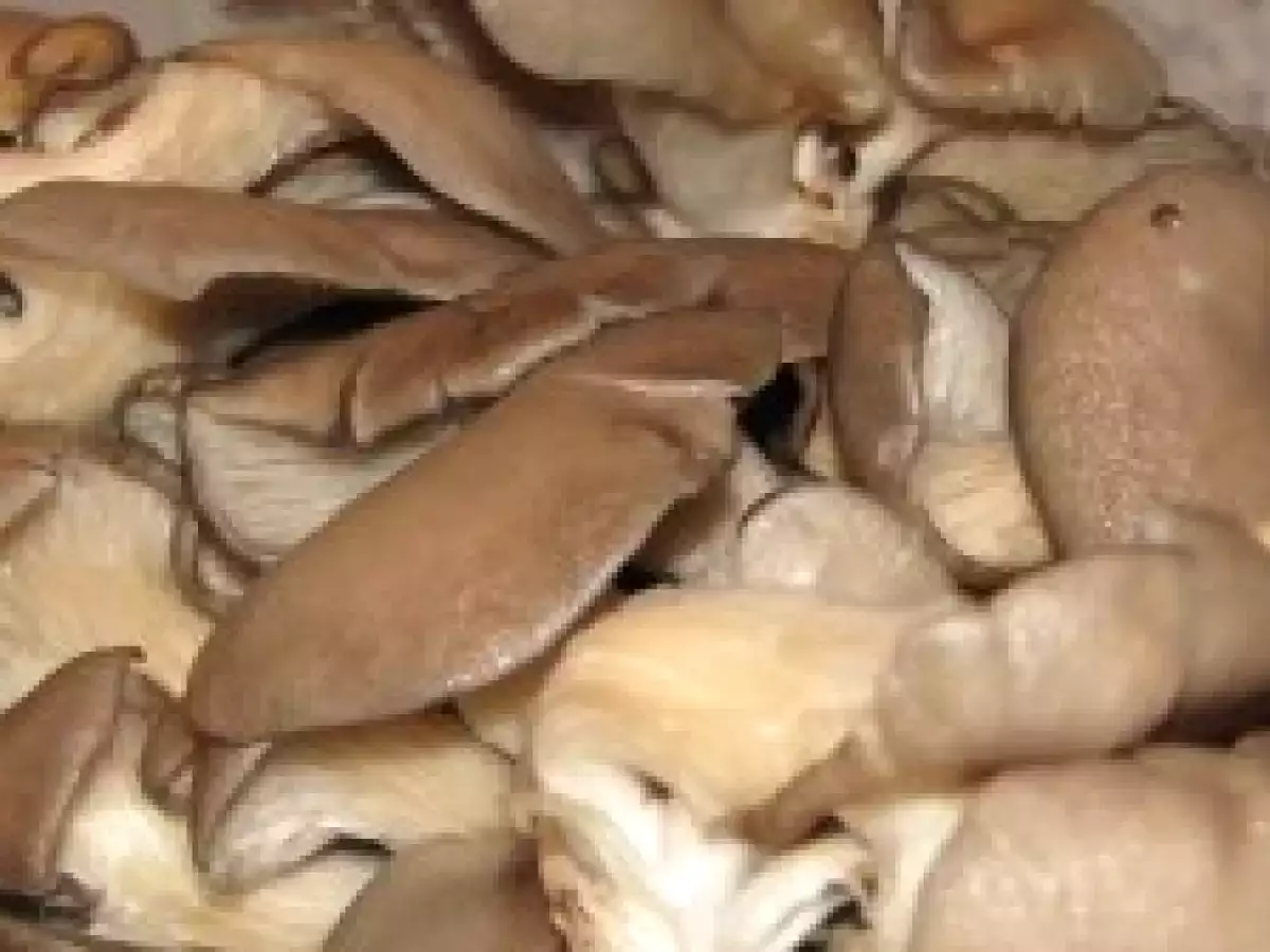 Carne de vita cu pleurotus si cascaval - poza 3