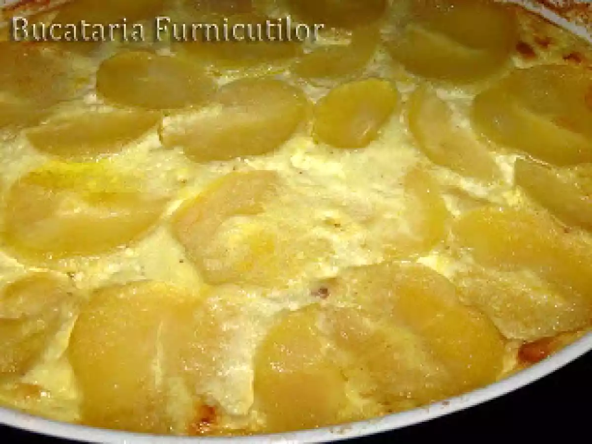 Cartofi Frantuzesti - poza 3