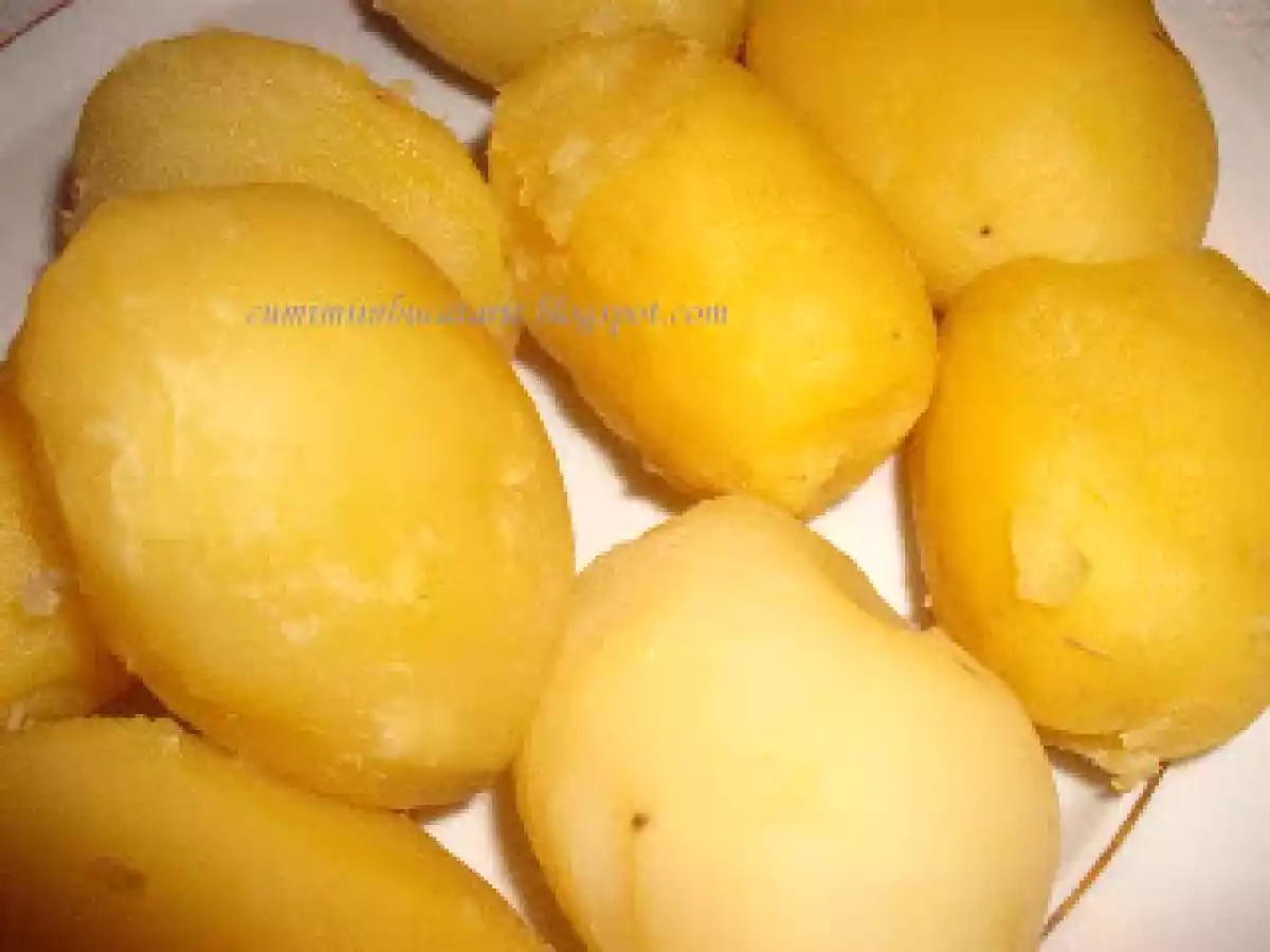 CARTOFI GRATINATI - poza 2