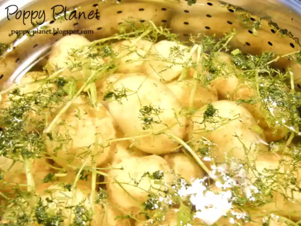 Cartofi noi cu marar si sos de smantana - poza 4