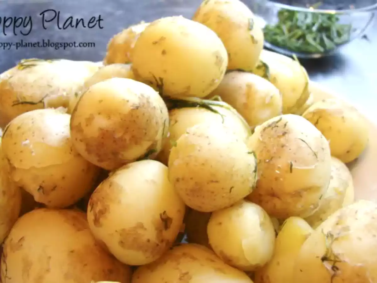 Cartofi noi cu marar si sos de smantana - poza 5