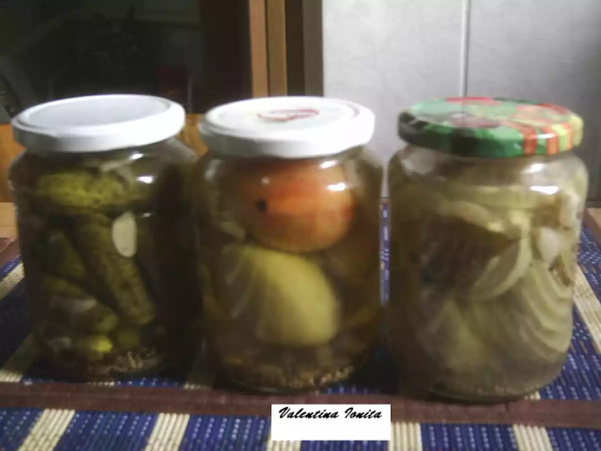 Castraveti, dovlecei, vinete, gogonele in otet fara sare
