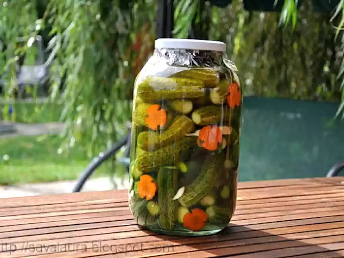 Castraveti murati - poza 3