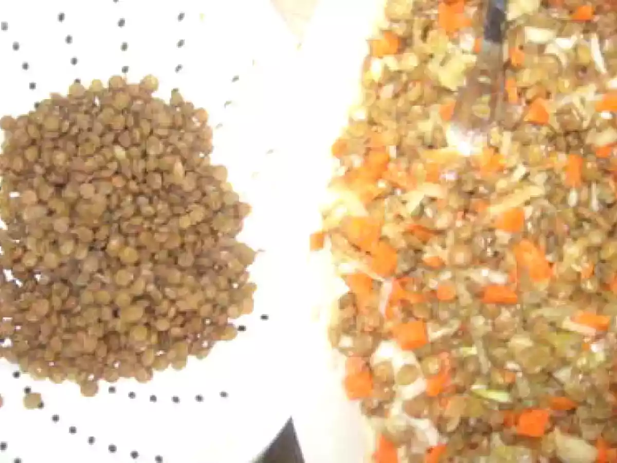 Ceapa umpluta pe salata de linte