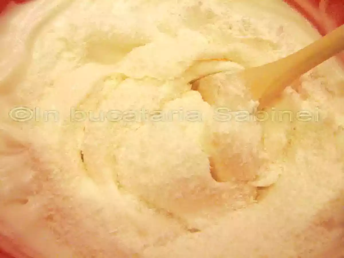 CHEC CU MAC SI NUCA DE COCOS - poza 3