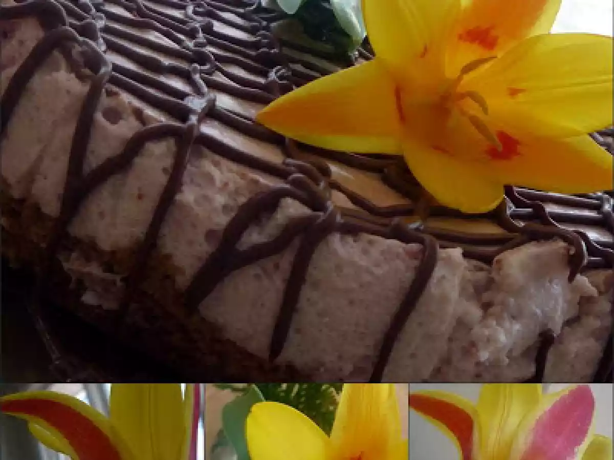 CHEESECAKE CU FRUCTE DE PADURE SI CIOCOLATA