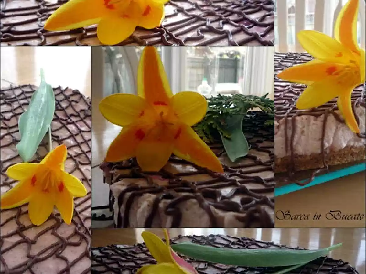 CHEESECAKE CU FRUCTE DE PADURE SI CIOCOLATA - poza 4