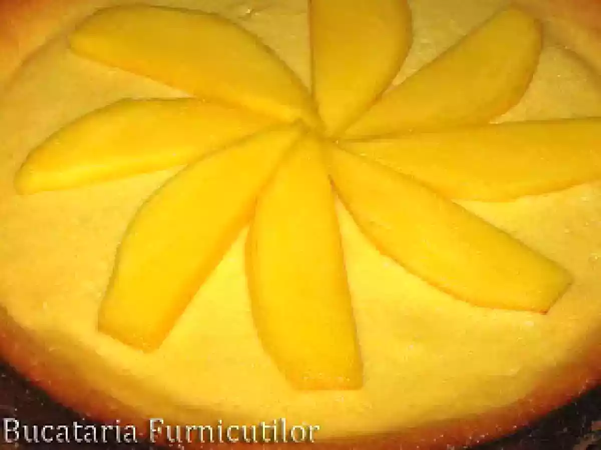 Cheesecake cu Mango - poza 4