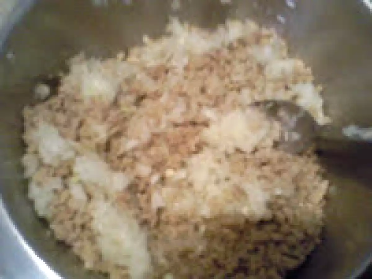 CHIFTELUTE DE SEITAN / TORTITAS DE SEITAN - poza 5