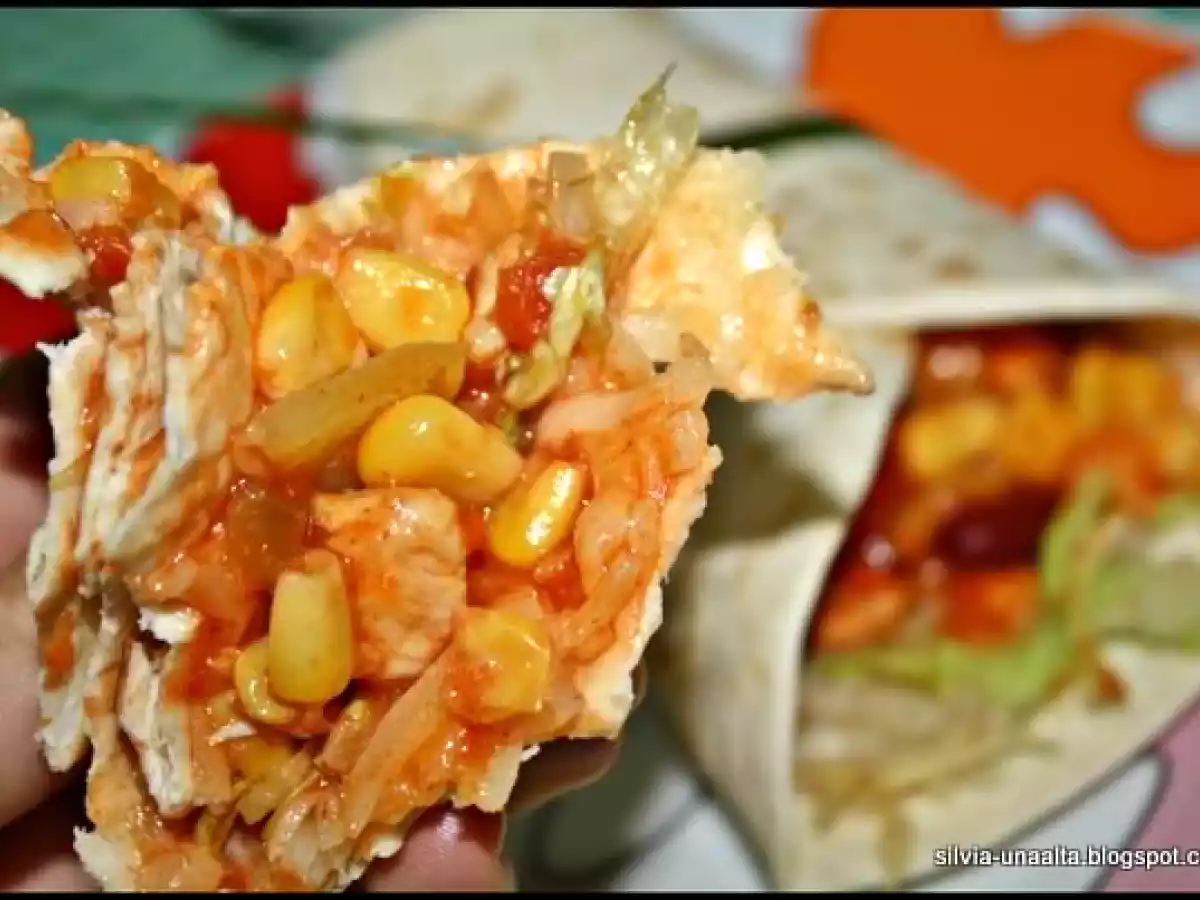 Cina in stil mexican - poza 2