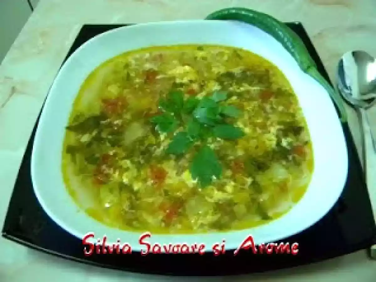 Ciorba de dovlecei - poza 2