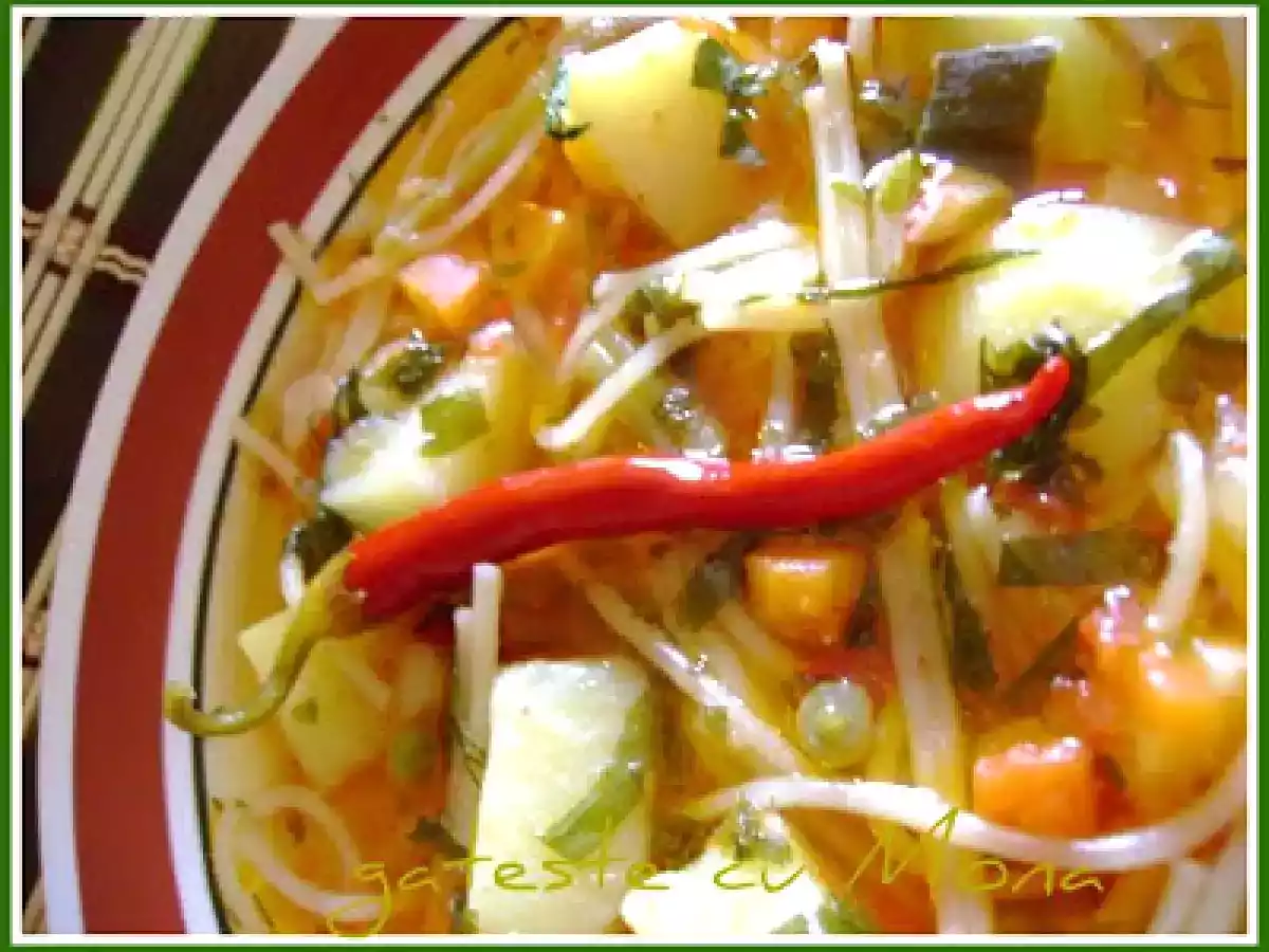 CIORBA DE LEGUME CU TARHON