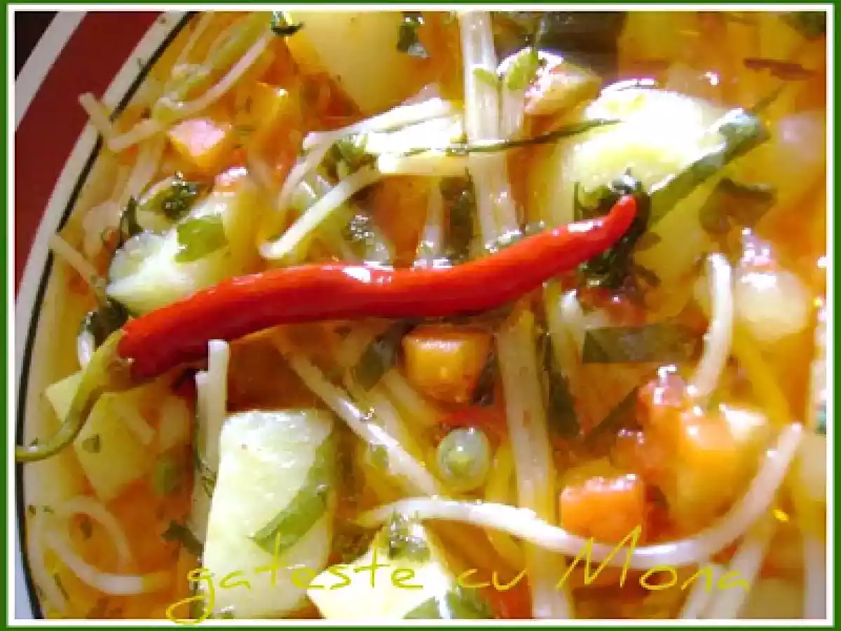 CIORBA DE LEGUME CU TARHON - poza 11