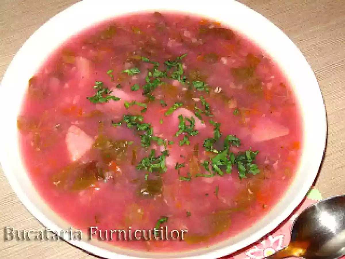 Ciorba de Loboda - poza 6